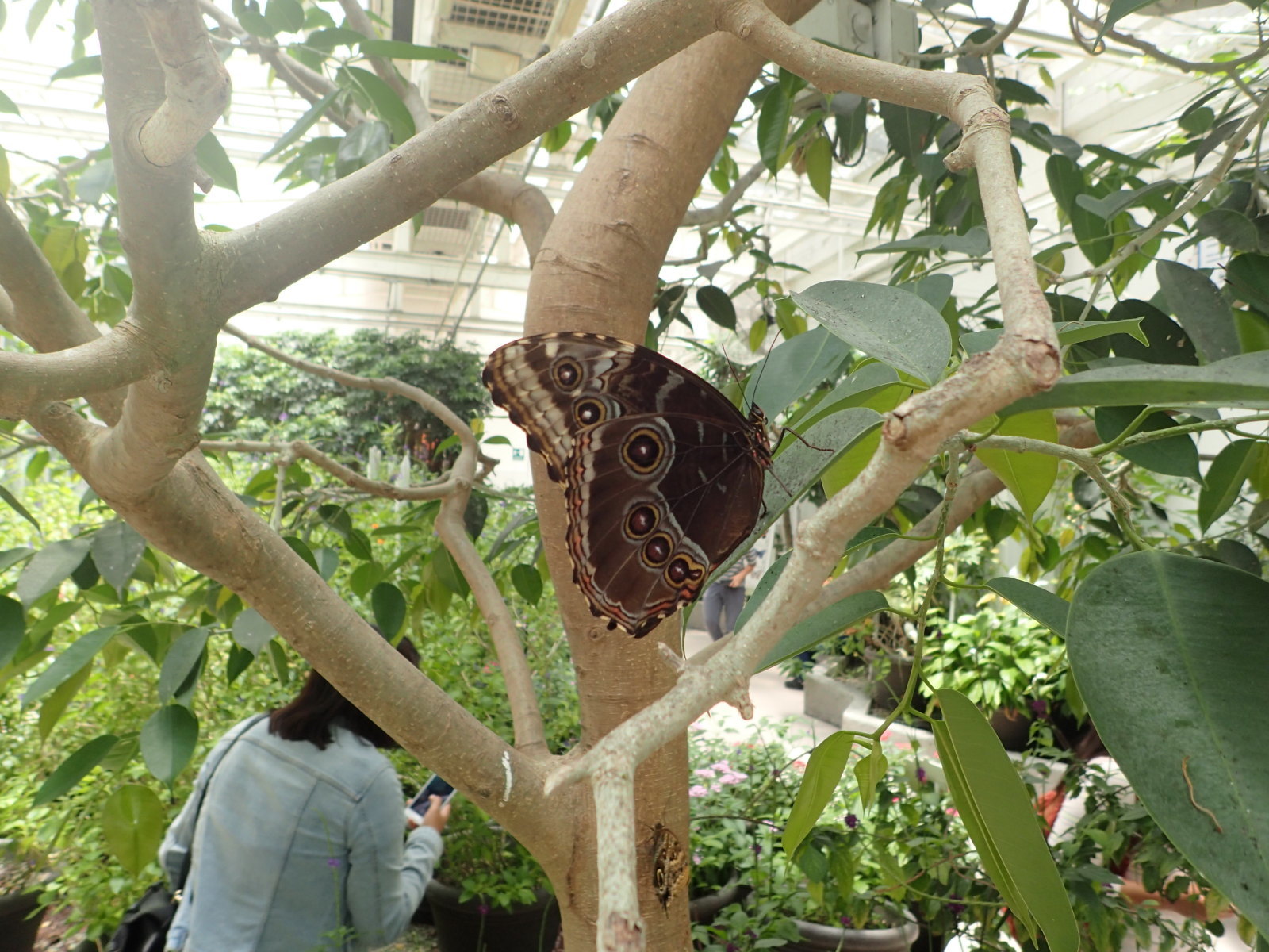 f0345350_10263261.jpg