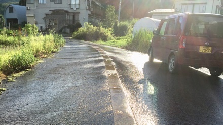 a0346455_09171798.jpeg