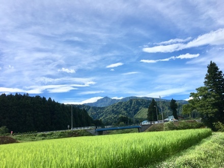 a0346455_09184105.jpeg
