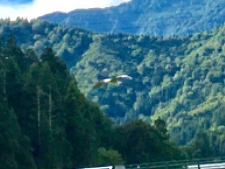a0346455_09250606.jpeg