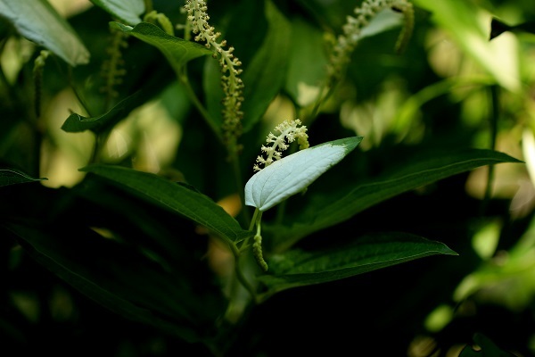 b0328557_10255771.jpg