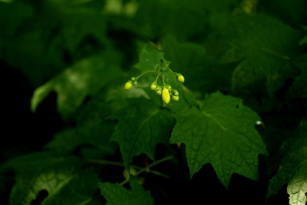 b0328557_10264611.jpg
