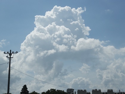 b0254058_18373993.jpg