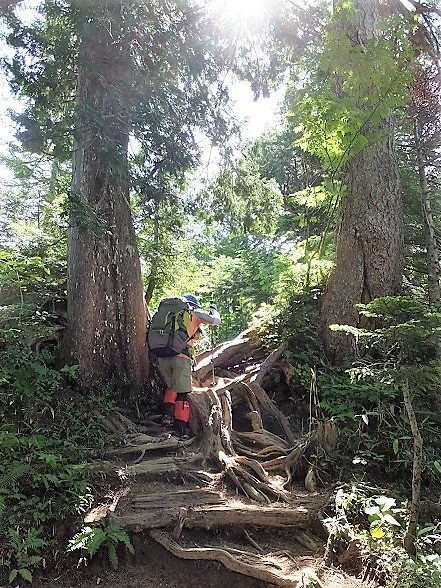 b0276758_15315172.jpg