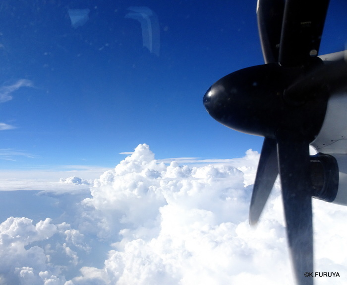 a0092659_16114050.jpg