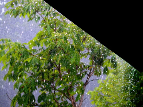 f0327061_21202299.jpg