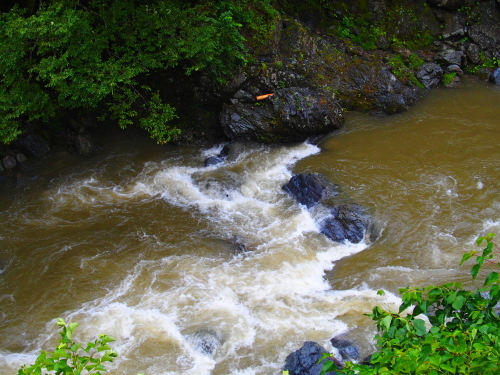 f0327061_21203395.jpg