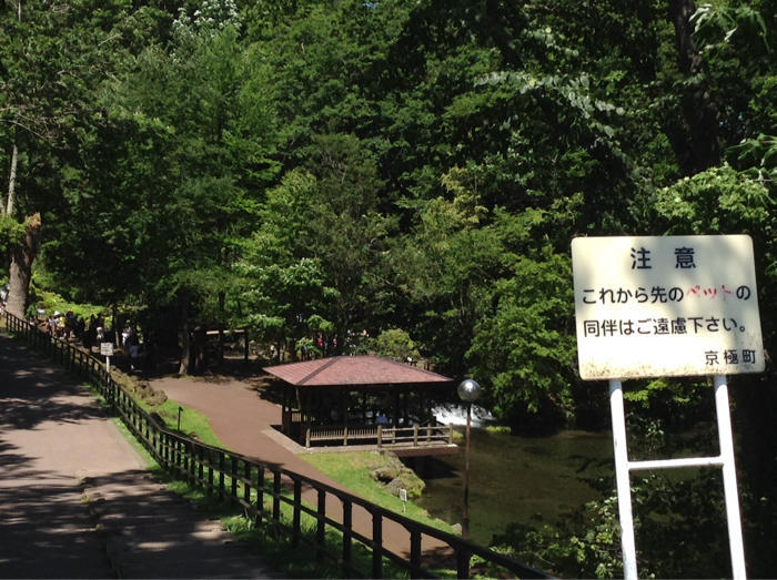b0122262_13552713.jpg
