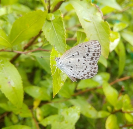 b0368362_05342104.jpg