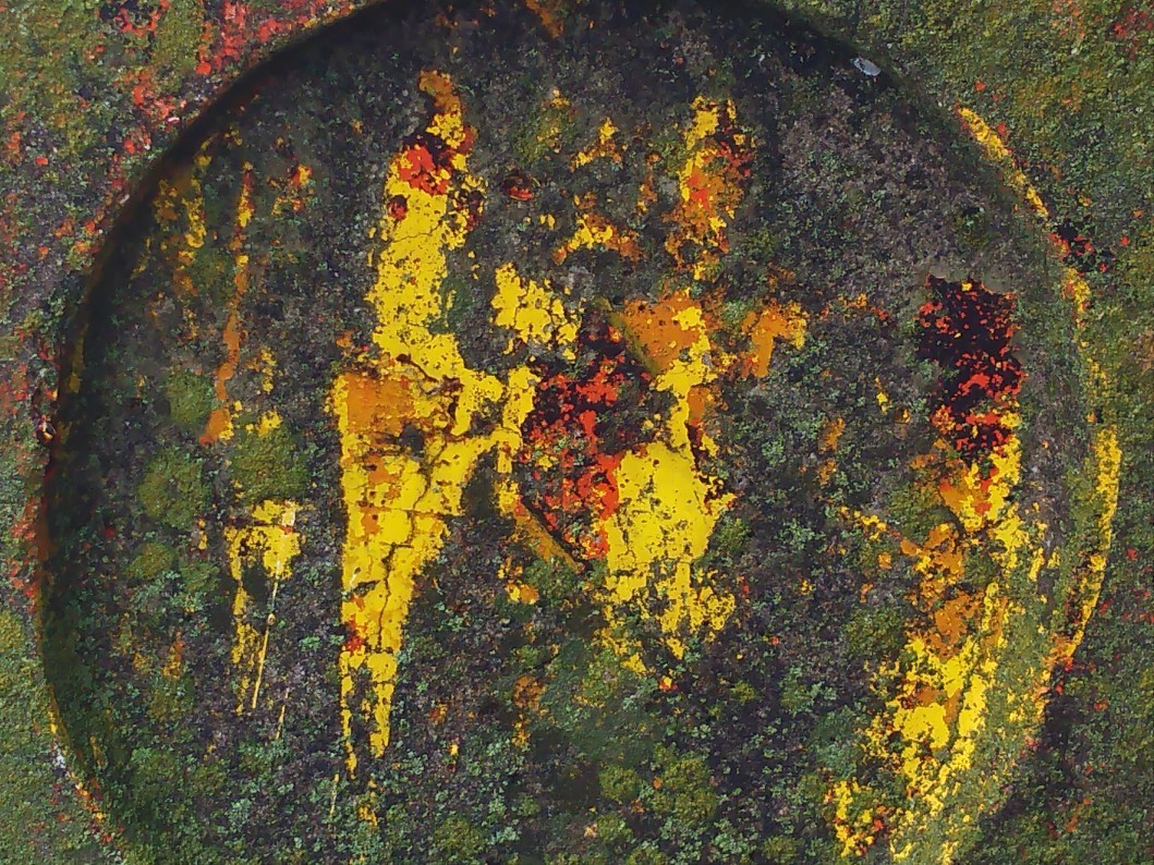 c0068267_11432236.jpg