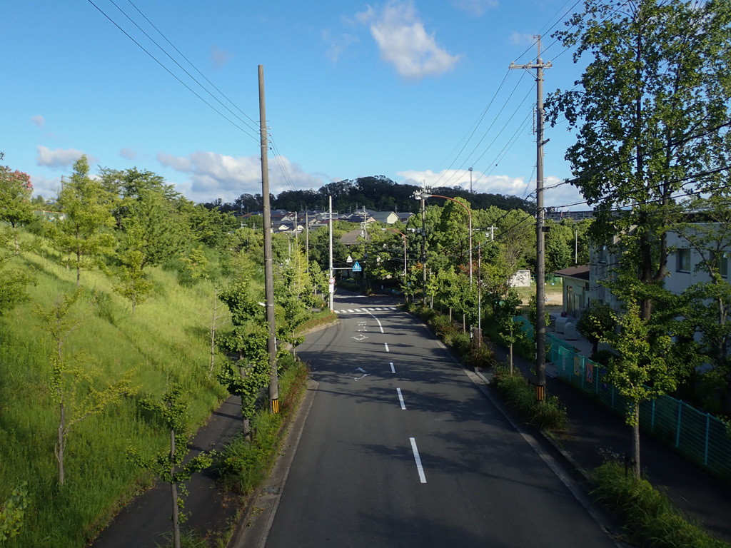 f0167977_18255348.jpg