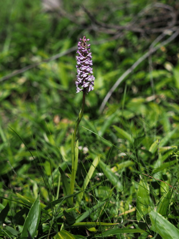 f0372177_18362511.jpg