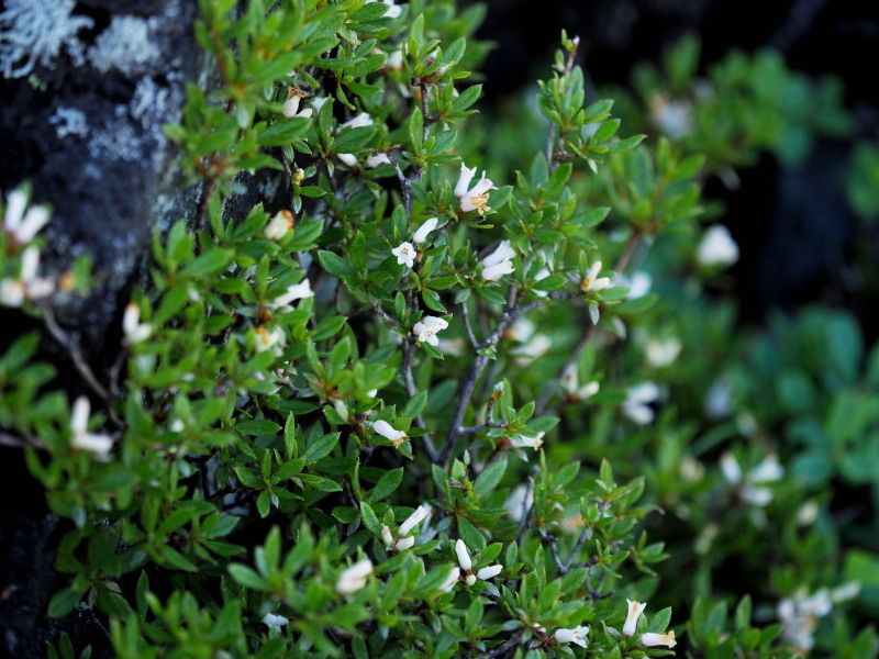 f0372177_18363257.jpg
