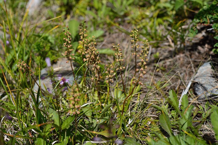 d0341880_14563087.jpg