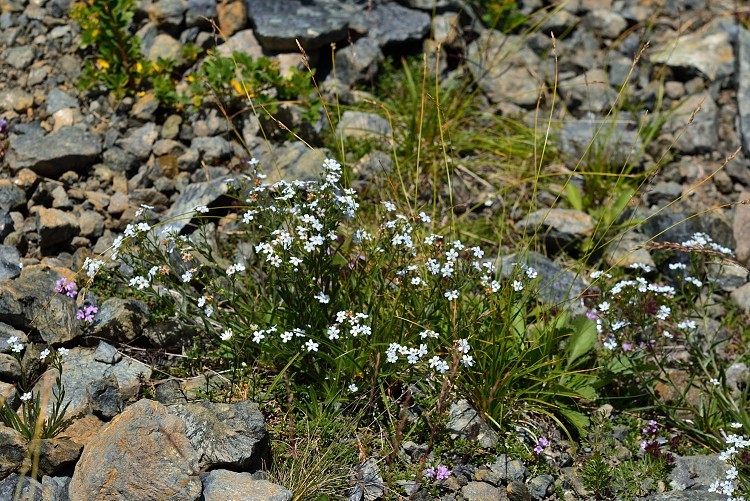 d0341880_14585515.jpg