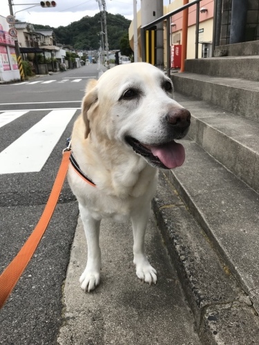 f0315081_21495909.jpeg