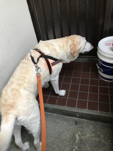 f0315081_21505211.jpeg