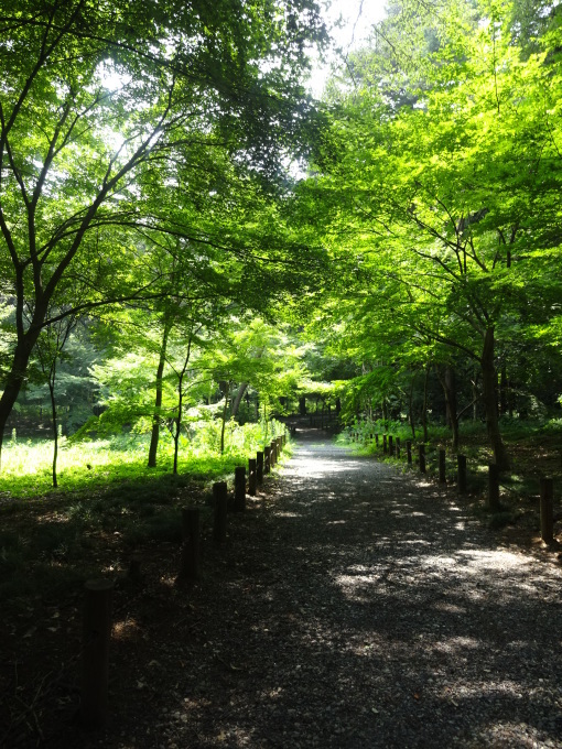 チャリで平林寺へ!2_b0210688_16072835.jpg