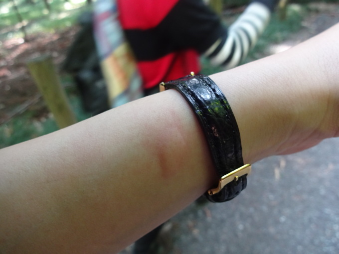 チャリで平林寺へ!2_b0210688_16080496.jpg