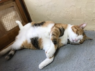 b0314689_23080137.jpeg