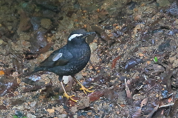 d0334291_16371582.jpg