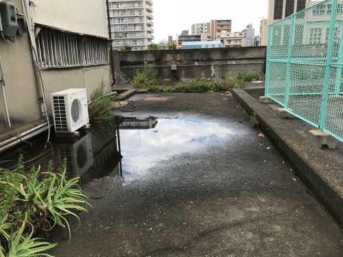 台風過ぎても涼しくはならず_e0246691_22365762.jpg