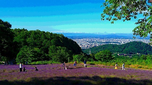 d0102492_12092470.jpg