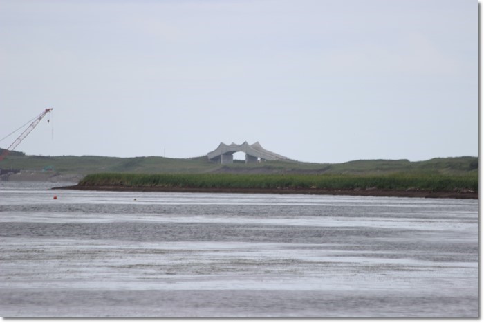 f0146493_20345404.jpg