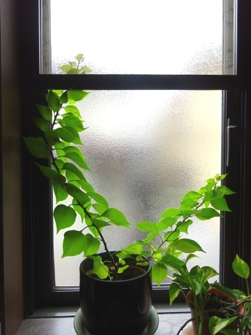 c0322794_15003266.jpg