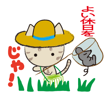 いつするん?_a0333195_11393944.png