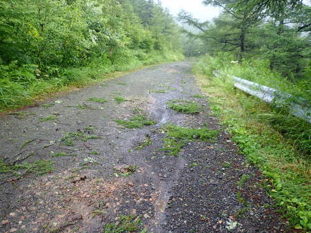 台風一過_e0120896_07343787.jpg