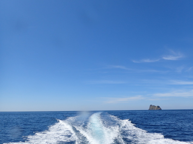 e0115199_16331409.jpg