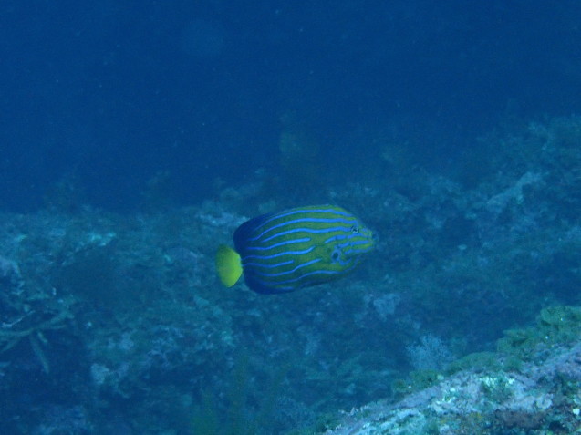 e0115199_16421215.jpg