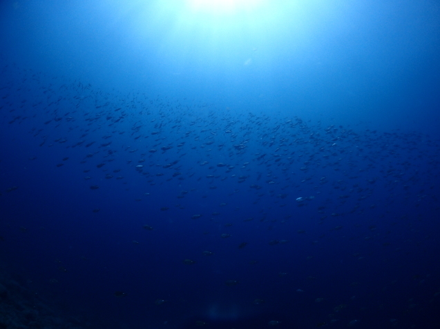 e0115199_16461339.jpg