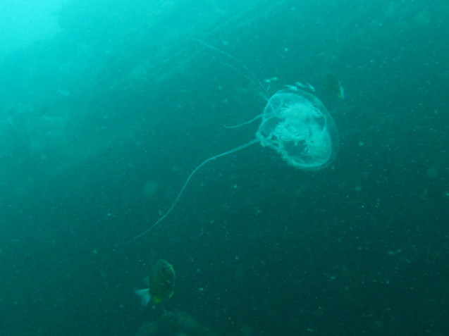 e0115199_17154855.jpg