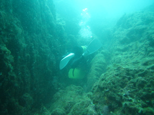 e0115199_17162629.jpg