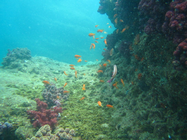 e0115199_17453175.jpg