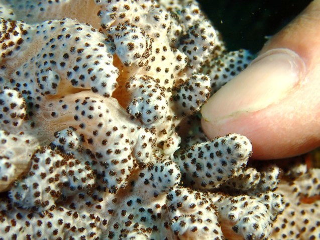 e0115199_17544374.jpg