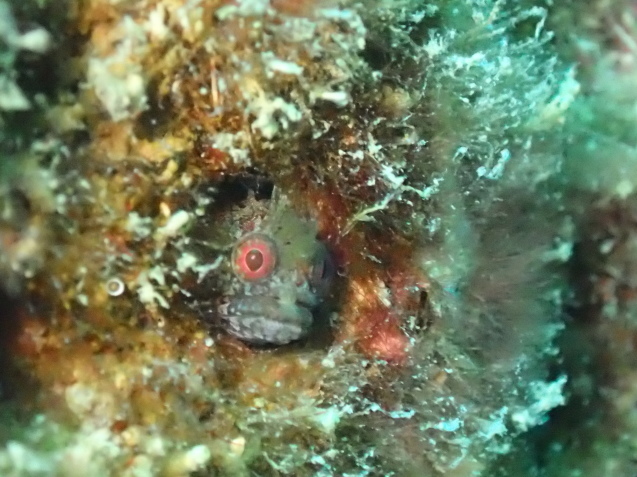 e0115199_17562939.jpg