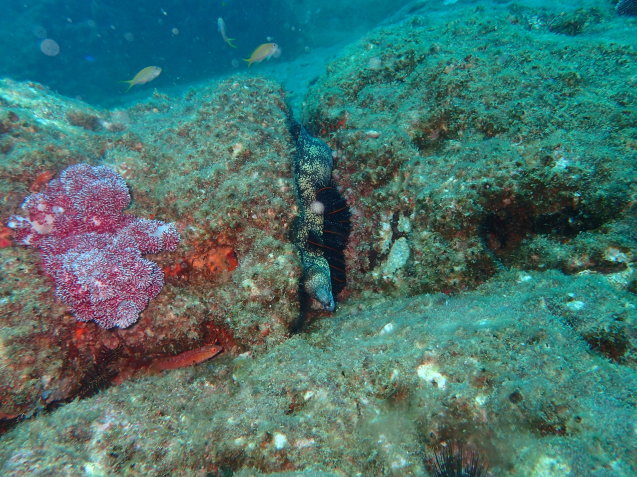 e0115199_19090543.jpg
