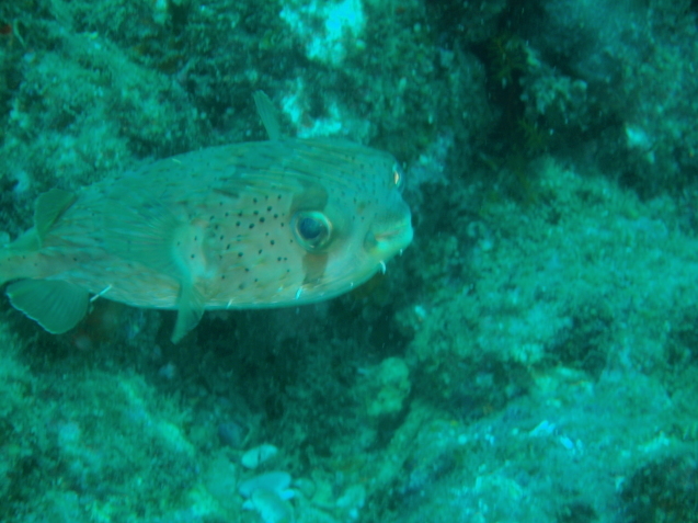 e0115199_19124035.jpg