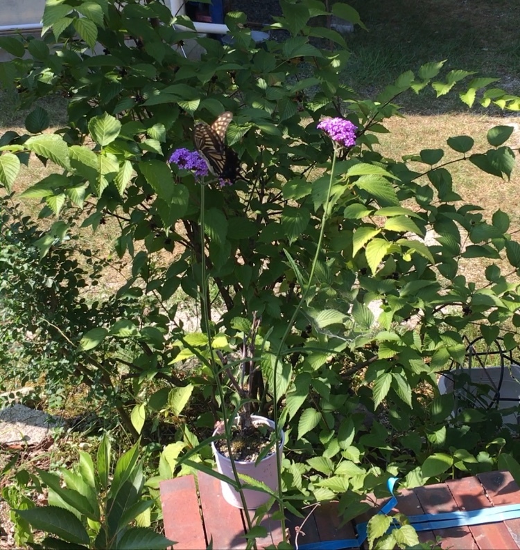 b0220002_22563770.jpeg