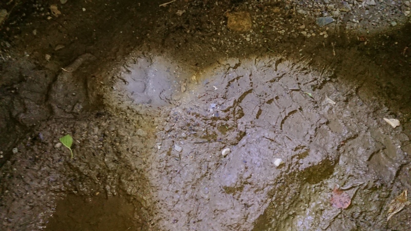 c0320302_20314637.jpg
