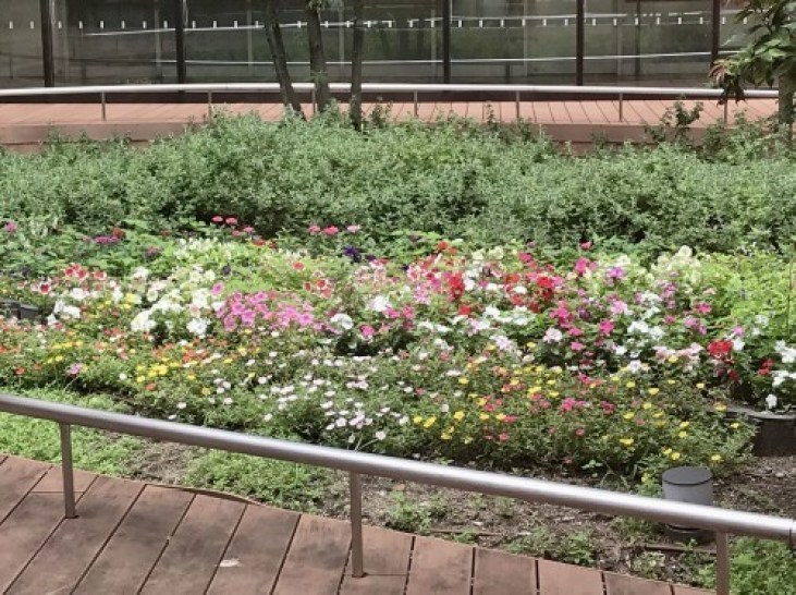 健康と 過信するべからず_a0346704_17570527.jpg