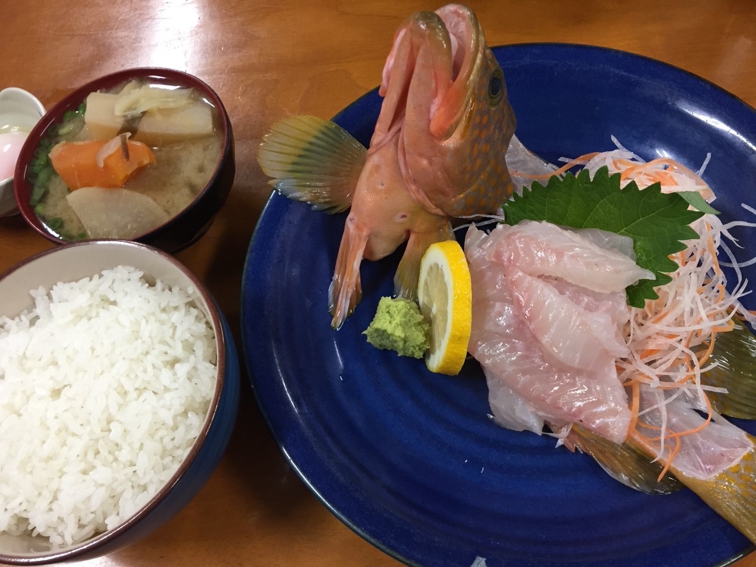 おはよう堂 高級魚 アカハタ アコウ 裏luz おはよう堂 高級魚 アカハタ アコウ 裏luz