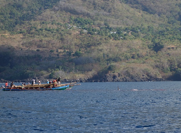 d0360509_11225635.jpg