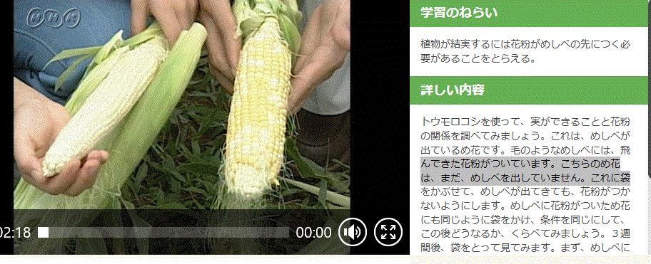 f0231709_17083153.gif