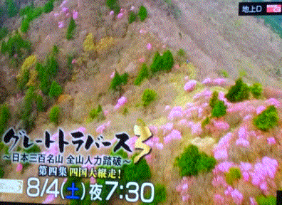 f0231709_23052564.gif