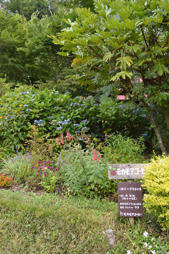 c0279611_17343514.jpg