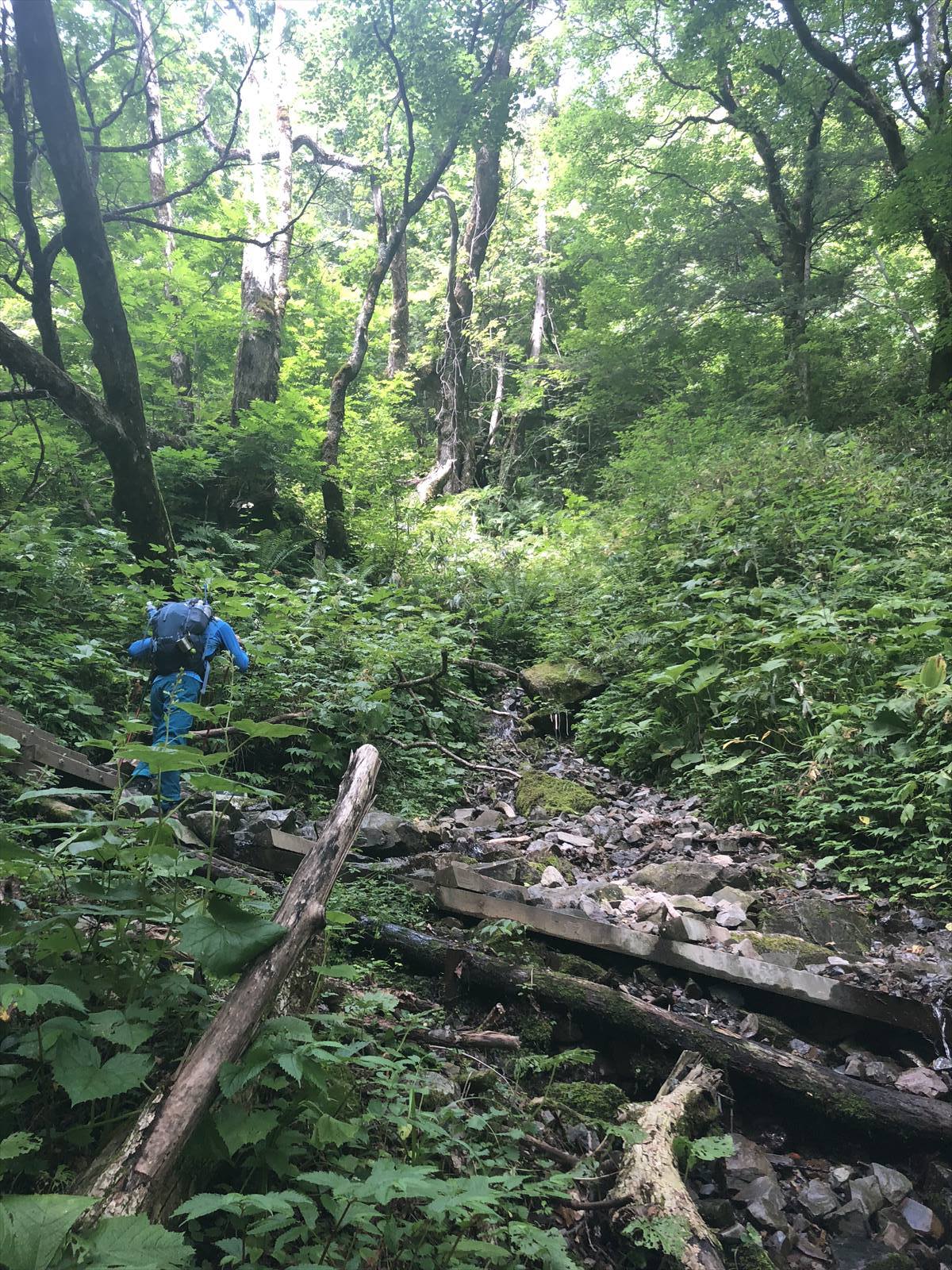 c0337813_16271329.jpg